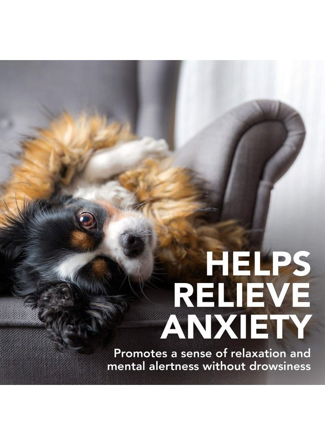 Vet's Best Vet's Best Comfort Calm Calming Soft Chews Dog Supplements | Dog Calming Aid Supports Dog Balances Behavior | Promotes Relaxation | 90 Day Supply  - Image 2