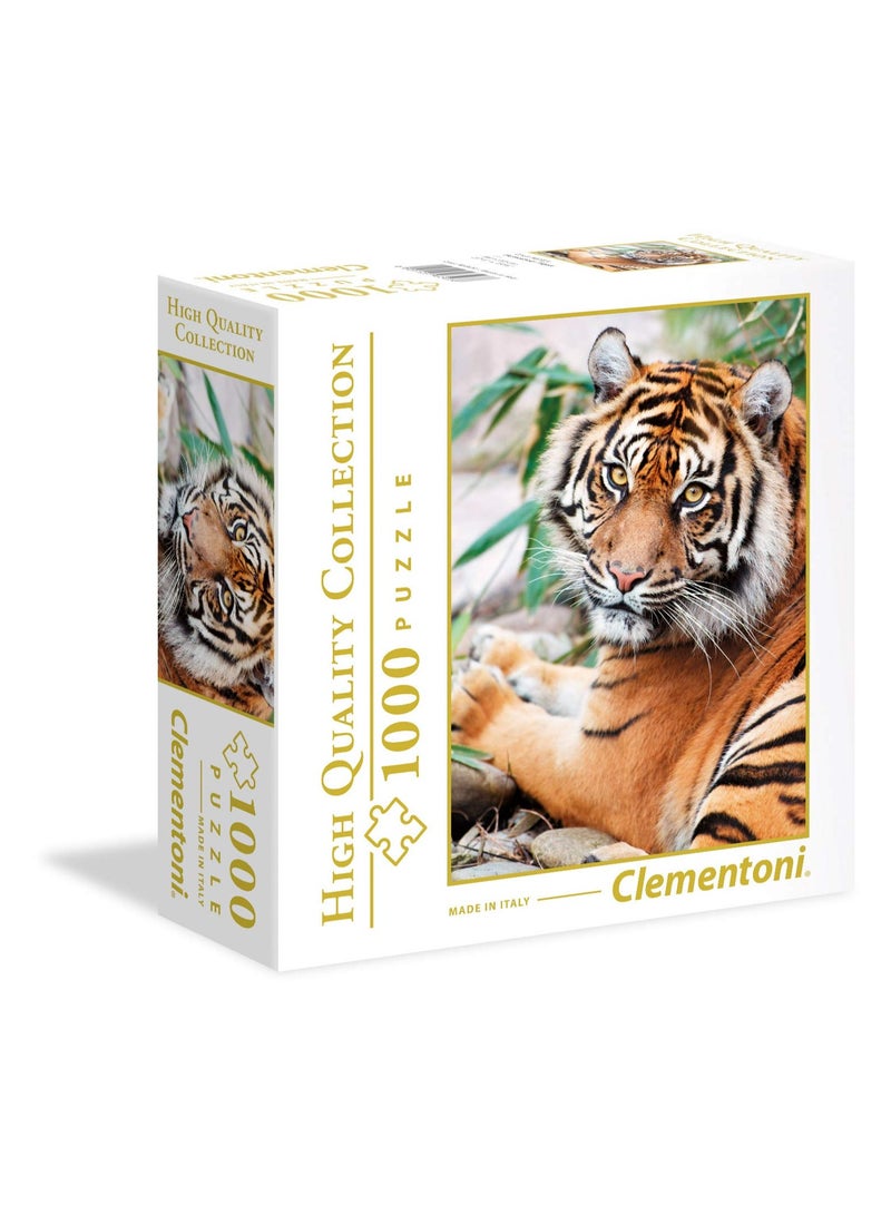 كليمينتوني بازل بازل نمر ساموتران - 1000 قطعة - Image 1