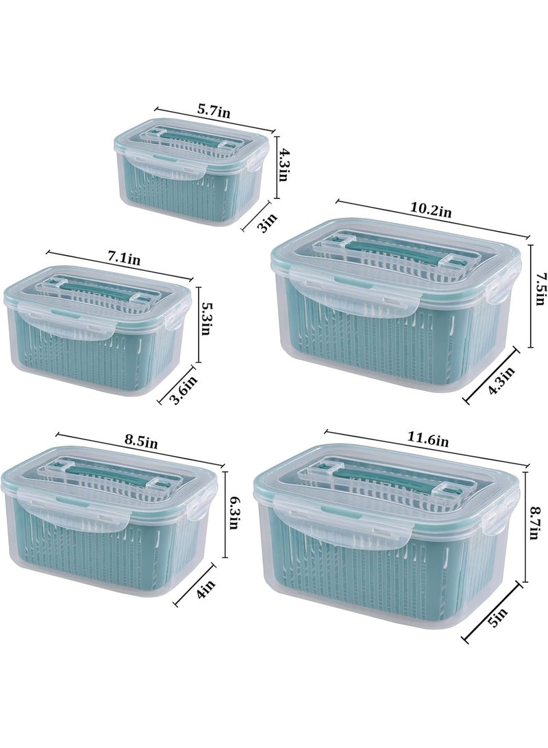 Food storage containers, made of polypropylene, set of 5 pieces, large size - Image 5