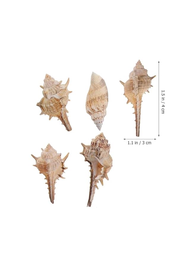 The Bros Mixed Sea Shells, 200g Beach Seashells Starfish, Various Sizes Ocean Seashells for Fish Tank Vase Fillers, Beach Theme Party Wedding Decor, Candle Making, DIY Crafts, Home Decorations - Image 2