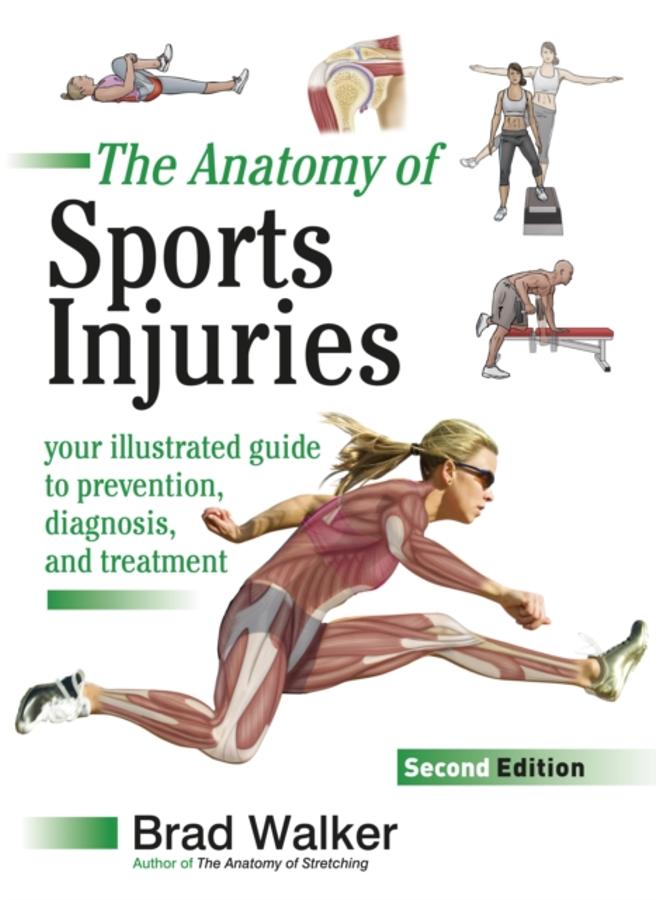 Sports Injuries : Your Illustrated Guide to Prevention, Diagnosis and Treatment 