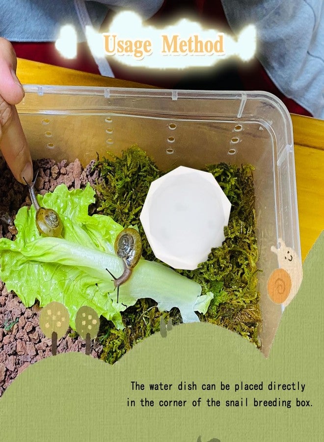 Tovyzalg Transparent Snail Catcher for Aquarium & Habitat - 2 Pack Silicone Snail Water Dish, Calcium Feeder Bowl, Hideout & Toilet | Safe Pet Habitat Accessories (M) - Image 5