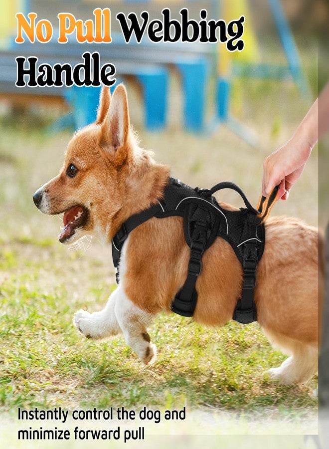 rabbitgoo Escape Proof Dog Harness, Soft Padded Full Body Pet Harness, Reflective Adjustable No Pull Vest with Lift Handle and Leash Clip for Large Dogs Walking Hiking Training, S, Black - Image 4