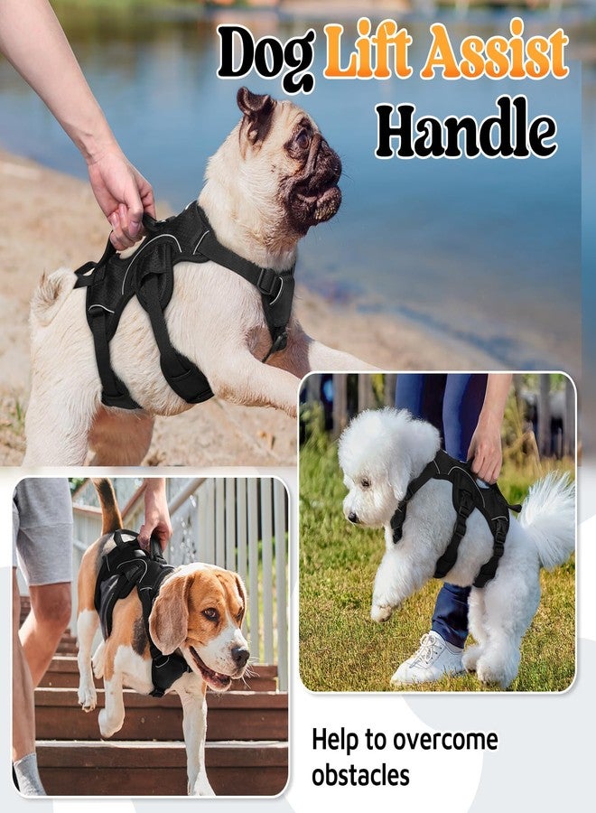 rabbitgoo Escape Proof Dog Harness, Soft Padded Full Body Pet Harness, Reflective Adjustable No Pull Vest with Lift Handle and Leash Clip for Large Dogs Walking Hiking Training, S, Black - Image 3