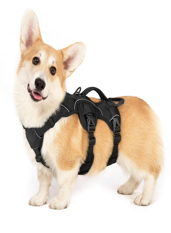 rabbitgoo Escape Proof Dog Harness, Soft Padded Full Body Pet Harness, Reflective Adjustable No Pull Vest with Lift Handle and Leash Clip for Large Dogs Walking Hiking Training, S, Black - Image 1