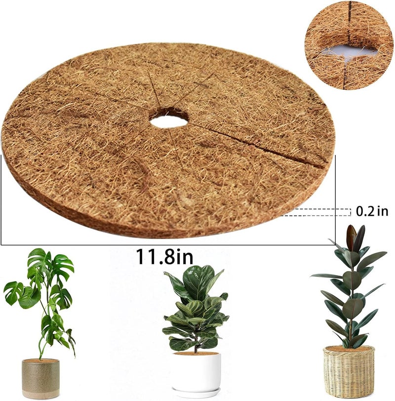 Paporich 6 Pcs Coconut Fibers Mulch Ring Tree Protector Mat- 11.8'' Plant Cover Mulch Mat Weed Mats Coco Coir Mulch Ring for Indoor Outdoor Trees, Disc Plant Cover, Flower Pot, Tree Plant Ring Mats - Image 2