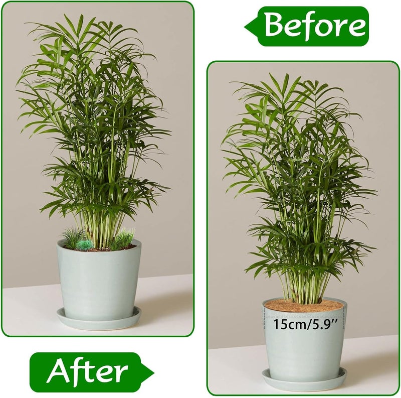 Paporich 6 Pcs Coconut Fibers Mulch Ring Tree Protector Mat- 11.8'' Plant Cover Mulch Mat Weed Mats Coco Coir Mulch Ring for Indoor Outdoor Trees, Disc Plant Cover, Flower Pot, Tree Plant Ring Mats - Image 5
