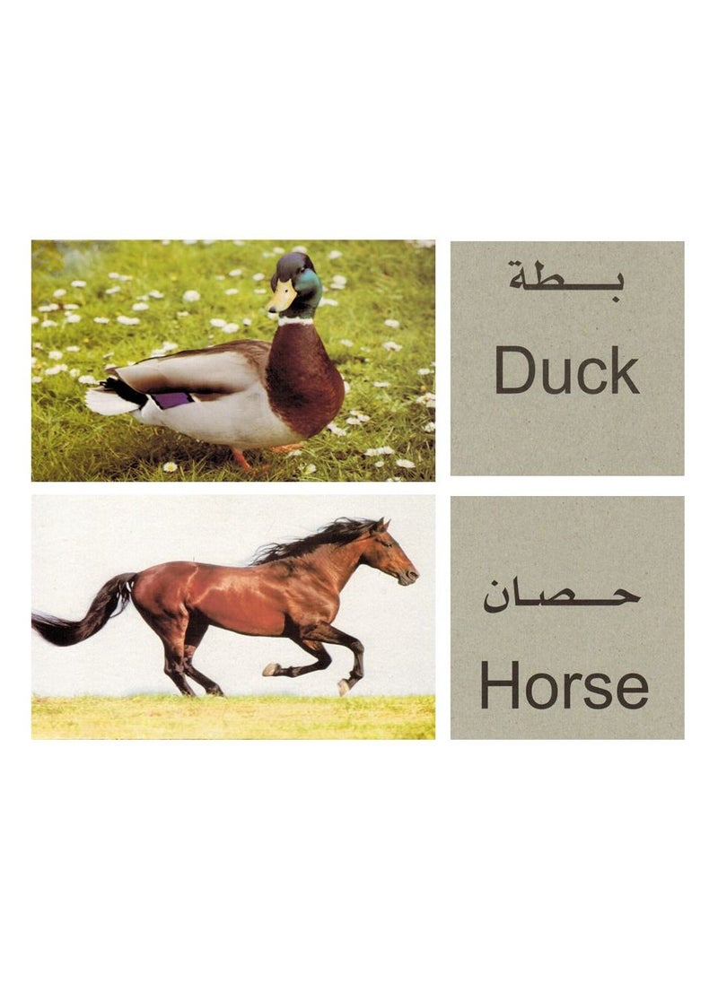 فلاش - الكروت التعليمية الحيوانات - Image 1