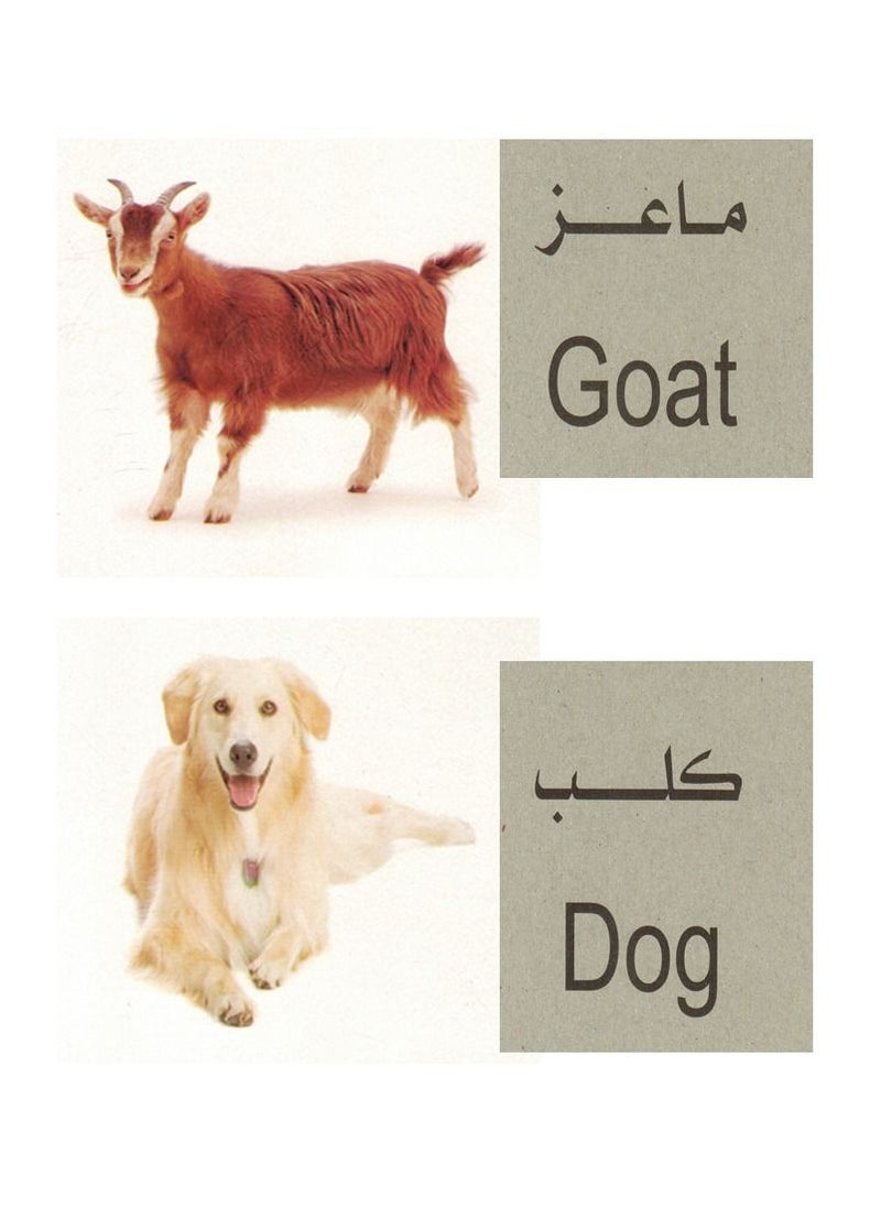 فلاش - الكروت التعليمية الحيوانات - Image 1