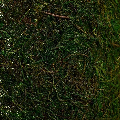 Byher Dried Moss Table Runner for Party Garden Decoration, Dark Green 30cm X 180cm ( 12" x 71" ) - Image 3