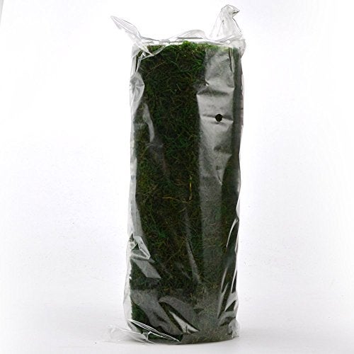 Byher Dried Moss Table Runner for Party Garden Decoration, Dark Green 30cm X 180cm ( 12" x 71" ) - Image 4