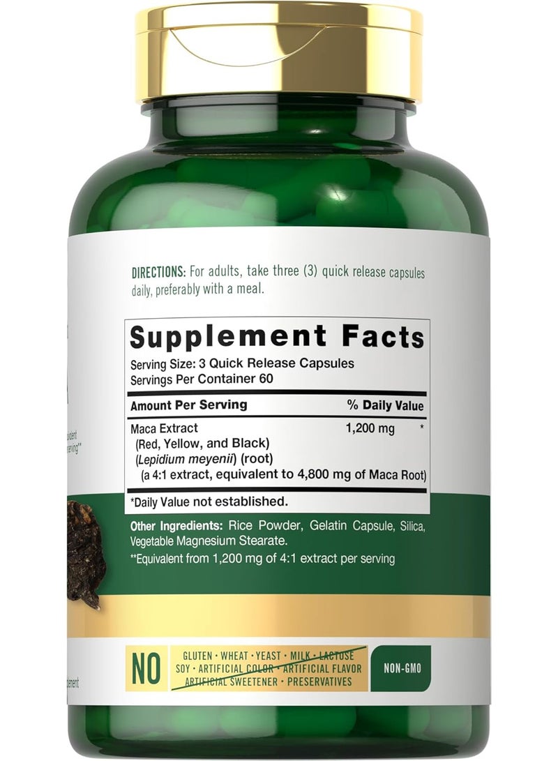 Carlyle كبسولات جذور الماكا للنساء والرجال 4800 ملغ 180 حبة مستخلص عالي القوة خالي من الكائنات المعدلة وراثيًا وخالي من الغلوتين - Image 2