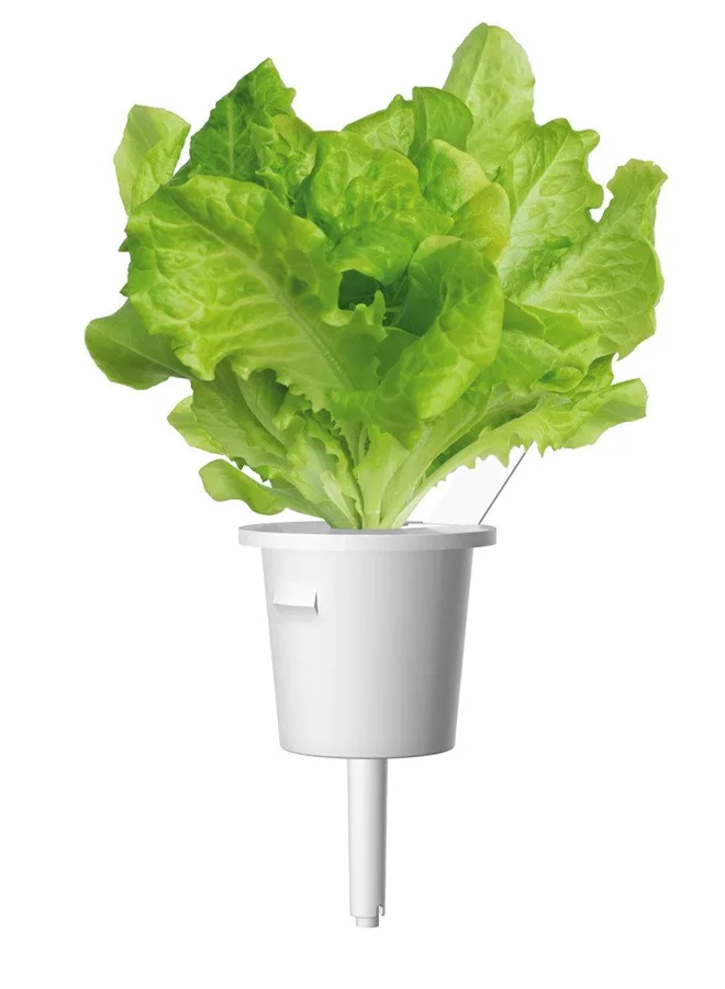 Click & Grow CLICK & GROW GREEN LETTUCE SMART GARDEN REFILL