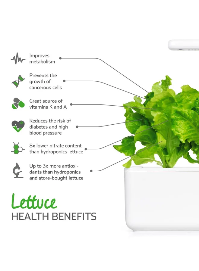 Click & Grow CLICK & GROW GREEN LETTUCE SMART GARDEN REFILL