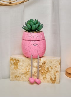 Stashed Away Mini Planter