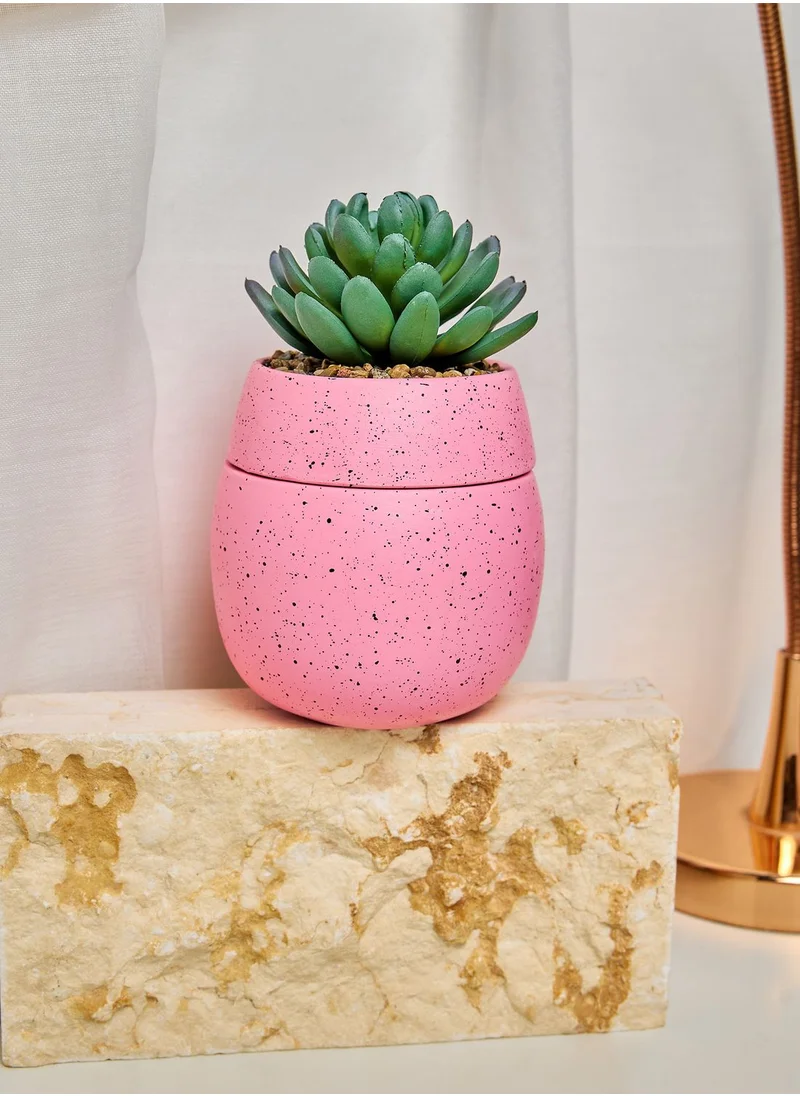 Typo Stashed Away Mini Planter