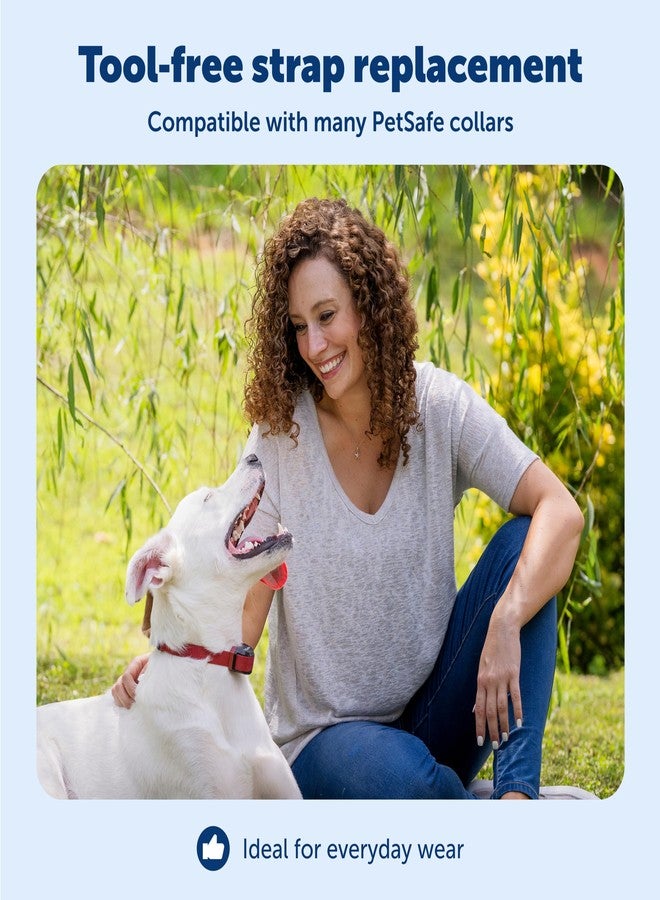 بيت سيف حزام بديل لطوق PetSafe مقاس 3/4 بوصة بلون أحمر صدئ، بدون ثقوب - حزام قابل للتعديل - تصميم من النايلون المتين - مشبك سريع الفتح - متوافق مع أطواق السياج اللاسلكي وأطواق منع النباح - 30 بوصة - أحمر صدئ - Image 3