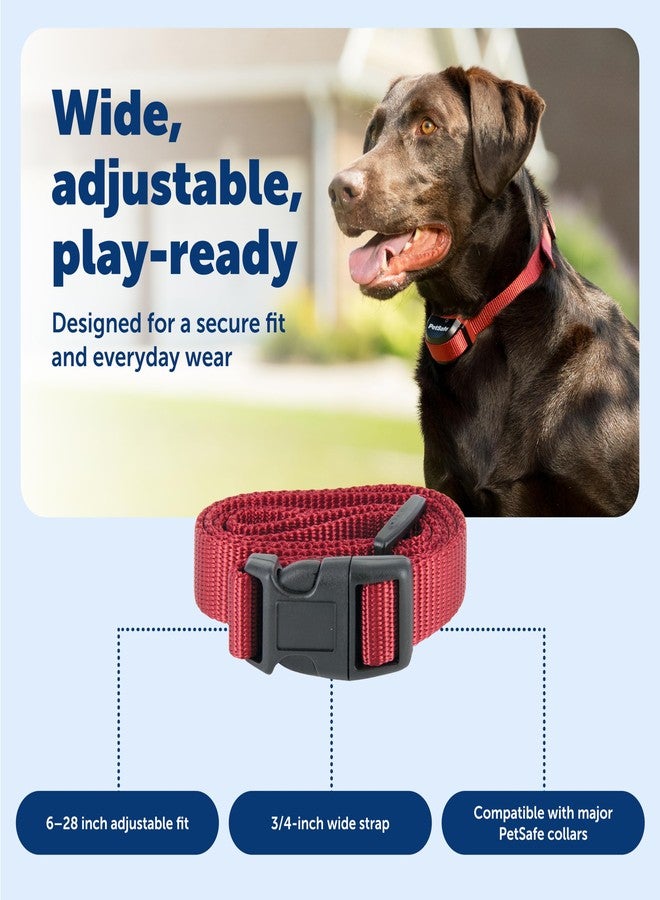بيت سيف حزام بديل لطوق PetSafe مقاس 3/4 بوصة بلون أحمر صدئ، بدون ثقوب - حزام قابل للتعديل - تصميم من النايلون المتين - مشبك سريع الفتح - متوافق مع أطواق السياج اللاسلكي وأطواق منع النباح - 30 بوصة - أحمر صدئ - Image 5