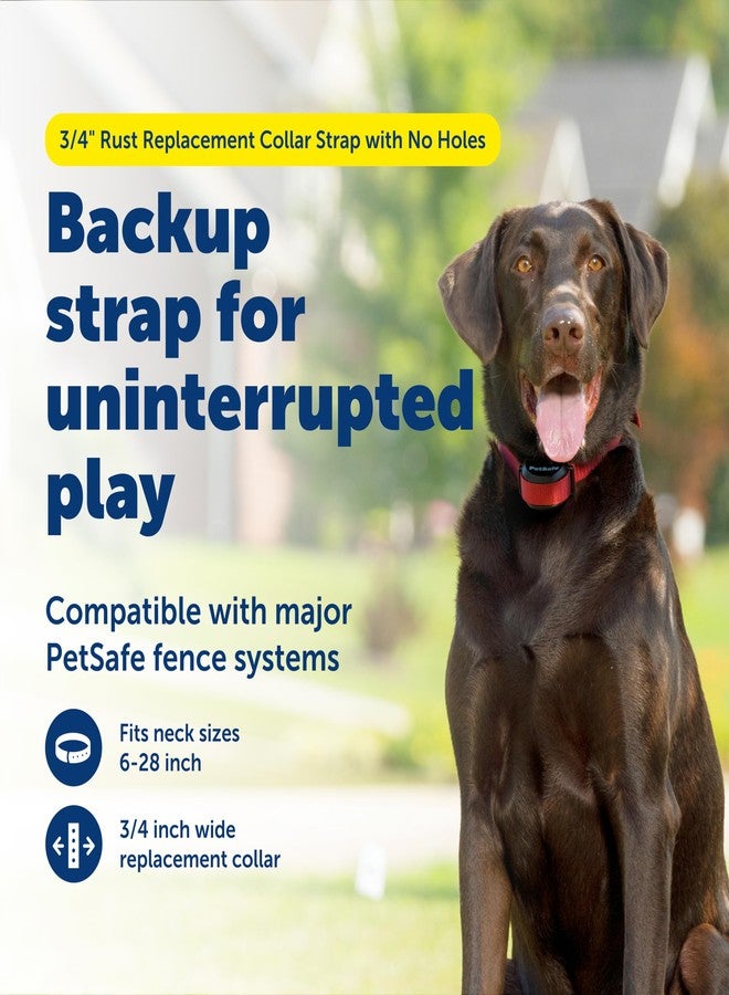 بيت سيف حزام بديل لطوق PetSafe مقاس 3/4 بوصة بلون أحمر صدئ، بدون ثقوب - حزام قابل للتعديل - تصميم من النايلون المتين - مشبك سريع الفتح - متوافق مع أطواق السياج اللاسلكي وأطواق منع النباح - 30 بوصة - أحمر صدئ - Image 2