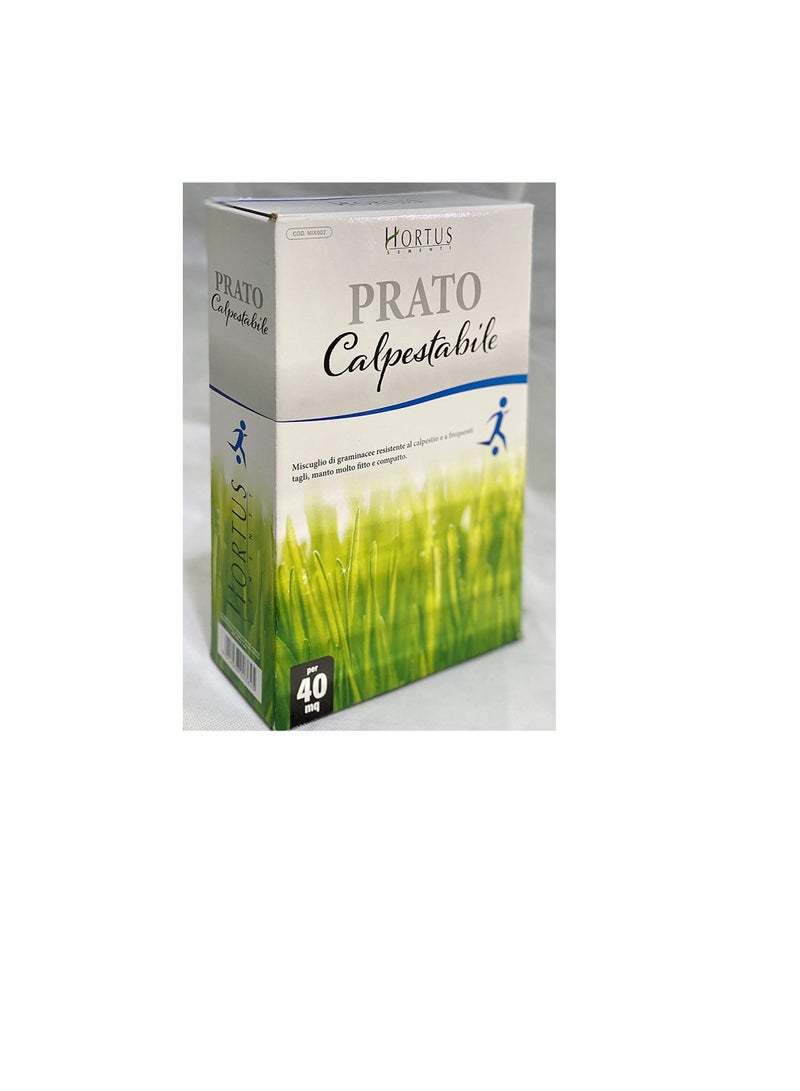 ritaj Grass Seeds Grows in Extreme Conditions Including Full Sun and Dense Shade - Image 2