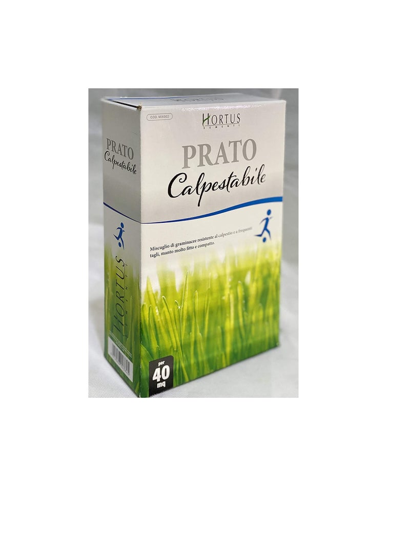ritaj Grass Seeds Grows in Extreme Conditions Including Full Sun and Dense Shade - Image 1