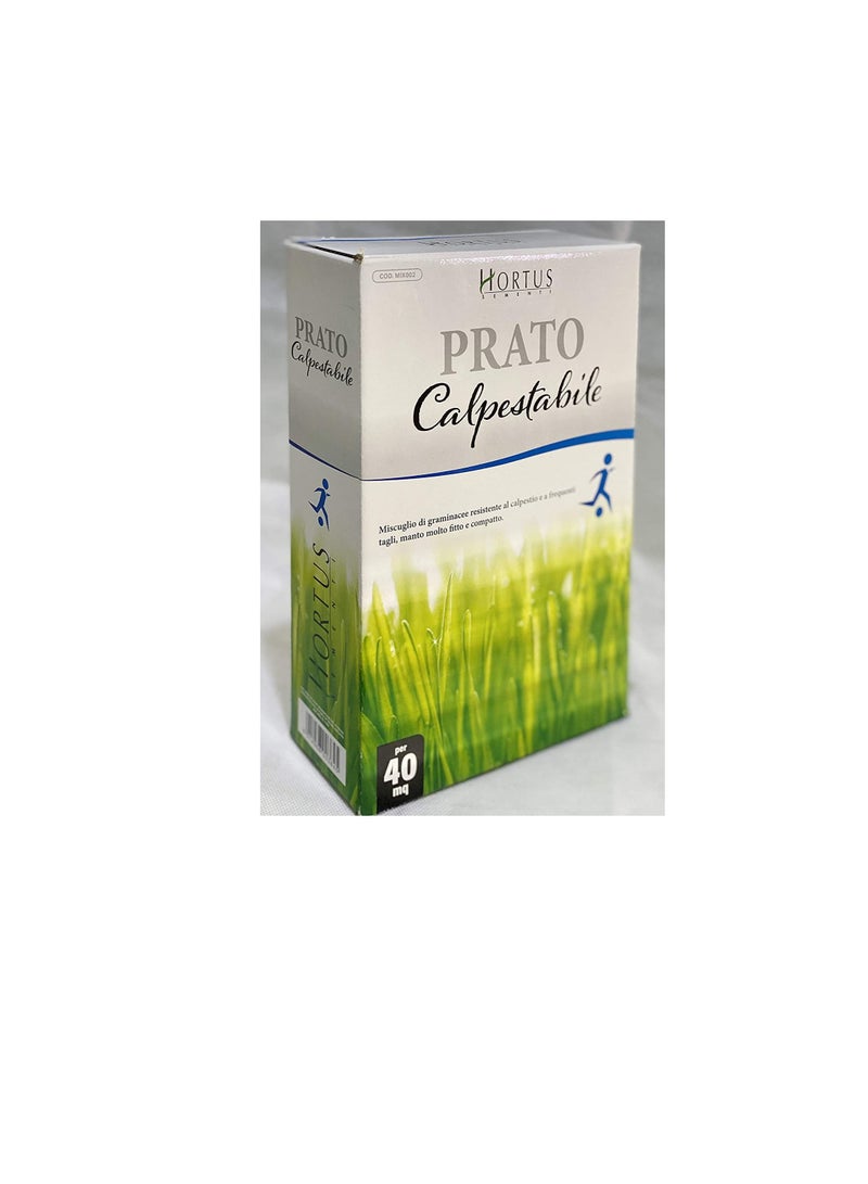 ritaj Grass Seeds Grows in Extreme Conditions Including Full Sun and Dense Shade - Image 3