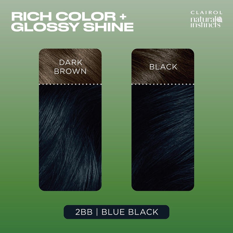 Clairol Natural Instincts Demi-Permanent Hair Dye, 2BB Blue Black Hair Color, Pack of 3 - Image 4