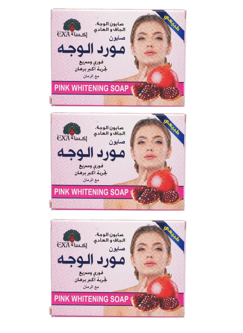 Facial Soap with Pomegranate for Dry and Normal Skin, 100 g - 3 pieces - pzsku/Z25ECFD892E03E2FA94F9Z/45/_/1739970968/5307f4e6-0404-4707-b3a9-c3fcb0a9ee67