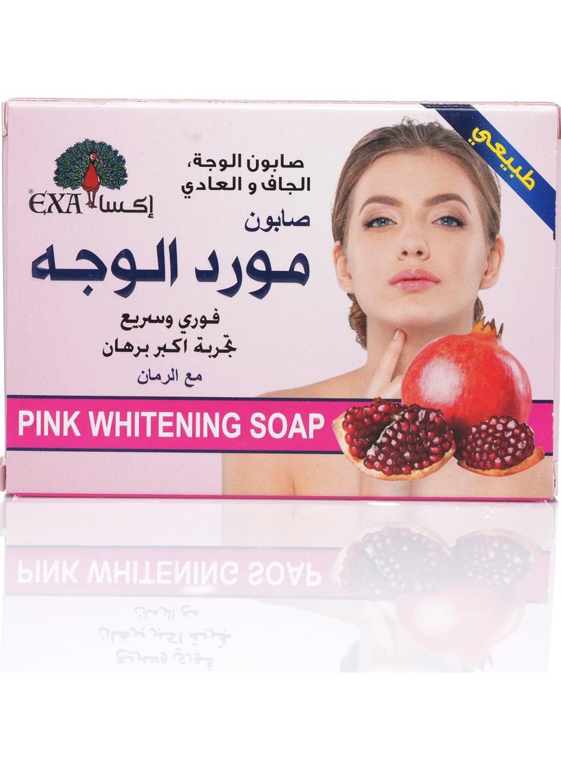 Facial Soap with Pomegranate for Dry and Normal Skin, 100 g - 3 pieces - pzsku/Z25ECFD892E03E2FA94F9Z/45/_/1739970970/6c4784d9-9bc8-4755-bb21-6c85622a80e3