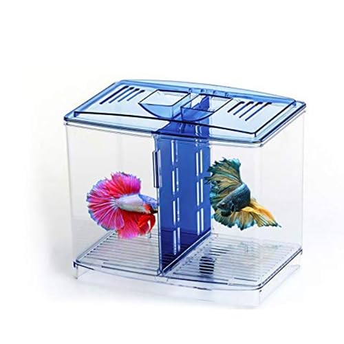 KSH STORE ® Double Compartment Betta Fish Tank with Divider, 18 x 8 x 15 cm, Acrylic Breeding Box for Fish, Shrimp and Jellyfish Colour May Vary - Image 1