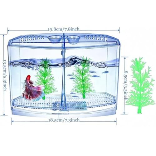 KSH STORE ® Double Compartment Betta Fish Tank with Divider, 18 x 8 x 15 cm, Acrylic Breeding Box for Fish, Shrimp and Jellyfish Colour May Vary - Image 5