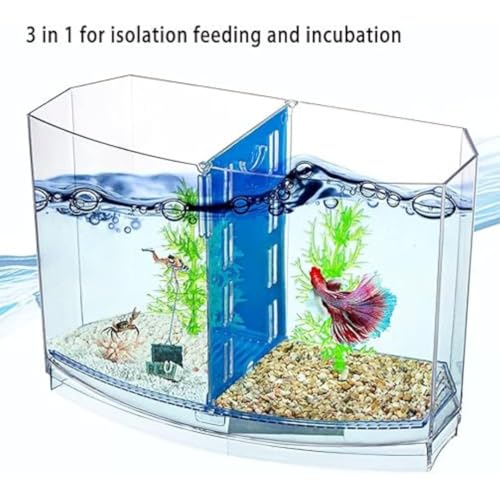 KSH STORE ® Double Compartment Betta Fish Tank with Divider, 18 x 8 x 15 cm, Acrylic Breeding Box for Fish, Shrimp and Jellyfish Colour May Vary - Image 2