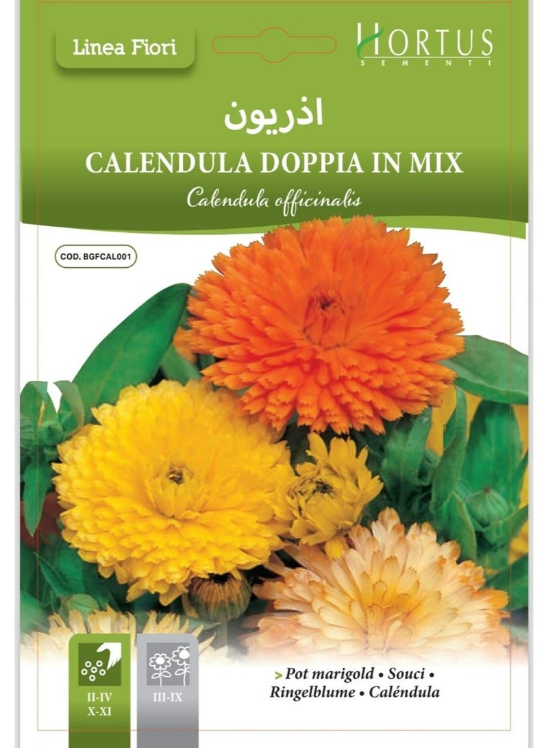 Calendula Seeds