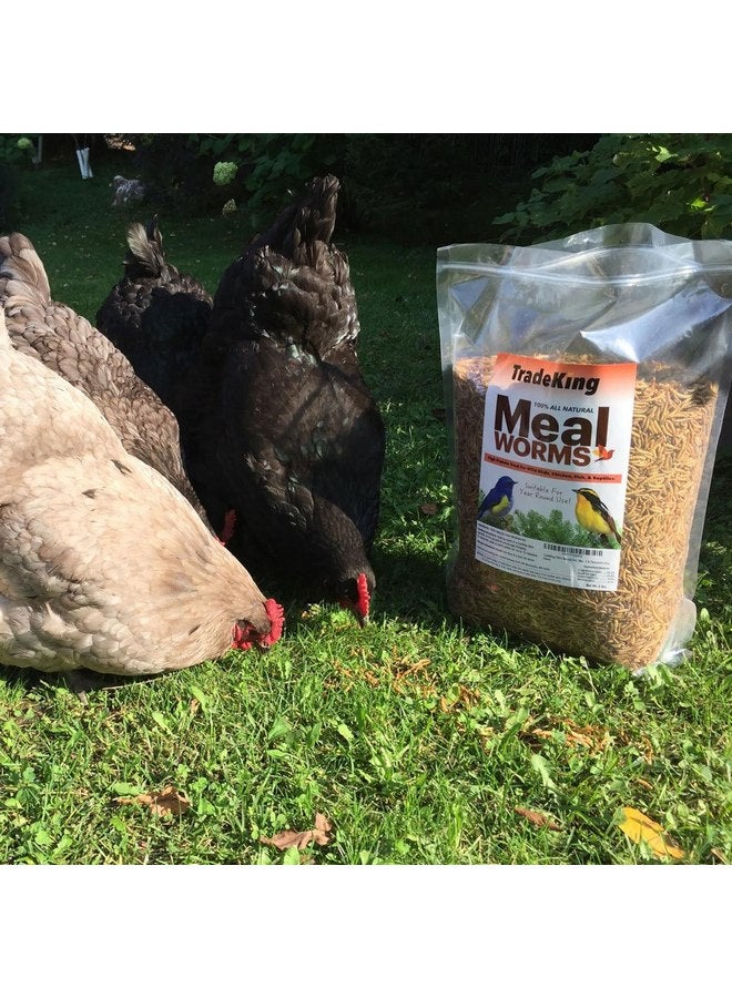 TradeKing 5 lb Dried Mealworms - High Protein Treat for Wild Birds, Chicken, Fish & Reptiles - Image 2