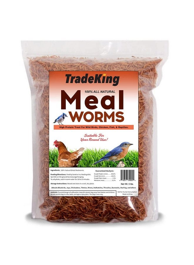 TradeKing 5 lb Dried Mealworms - High Protein Treat for Wild Birds, Chicken, Fish & Reptiles - Image 1