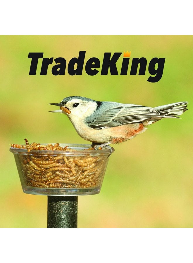 TradeKing 5 lb Dried Mealworms - High Protein Treat for Wild Birds, Chicken, Fish & Reptiles - Image 4