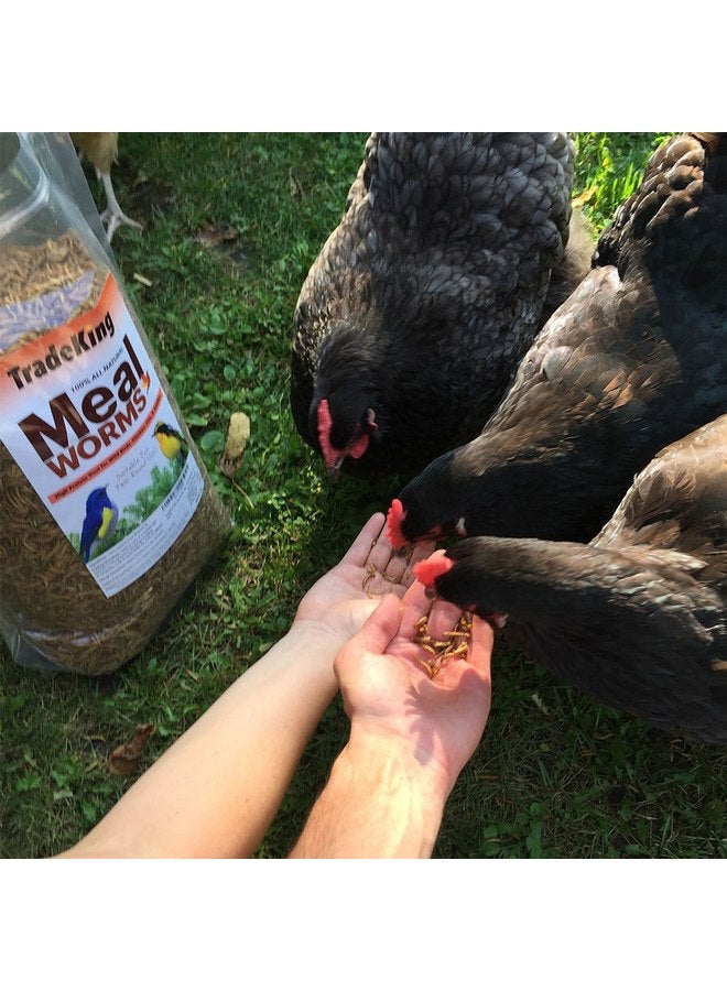 TradeKing 5 lb Dried Mealworms - High Protein Treat for Wild Birds, Chicken, Fish & Reptiles - Image 3