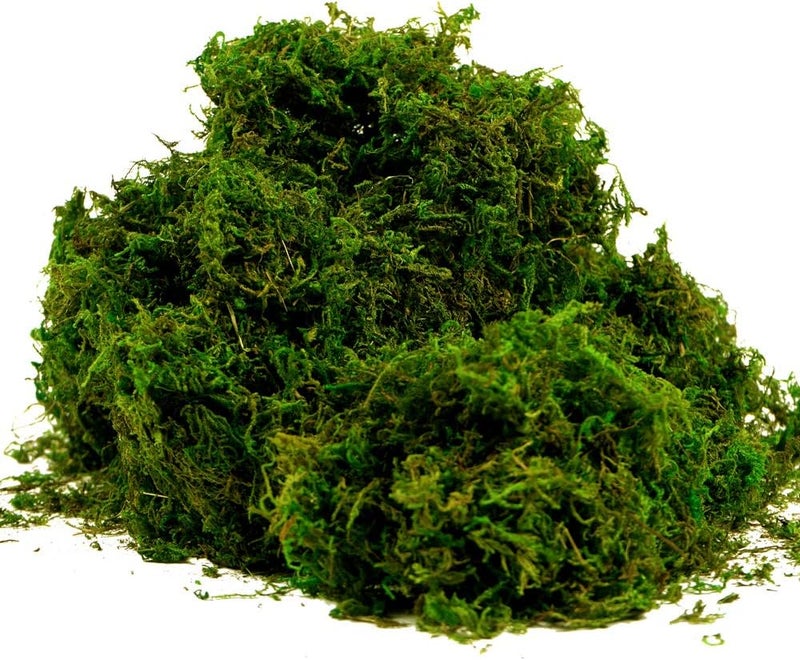 BYHER ضباب صناعي وعشب أخضر وهمي للزينة في المنازل والمطابخ والحدائق (8 أونصات، طازج) - Image 1