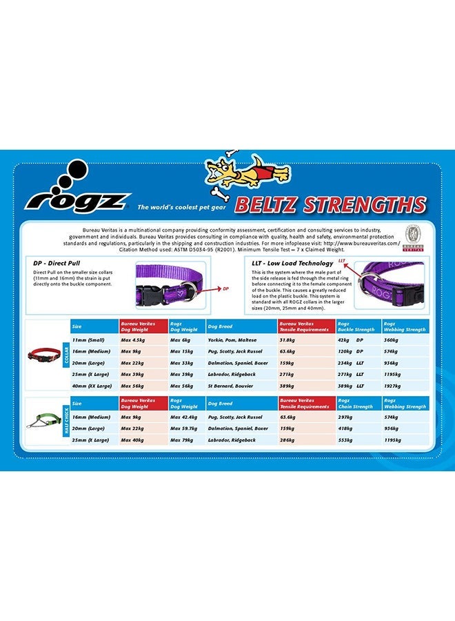 إسكدنيا Pet Bone Collar Brown - Image 3