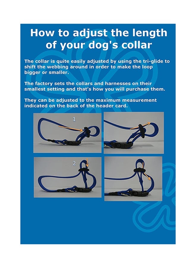 إسكدنيا Pet Bone Collar Brown - Image 2