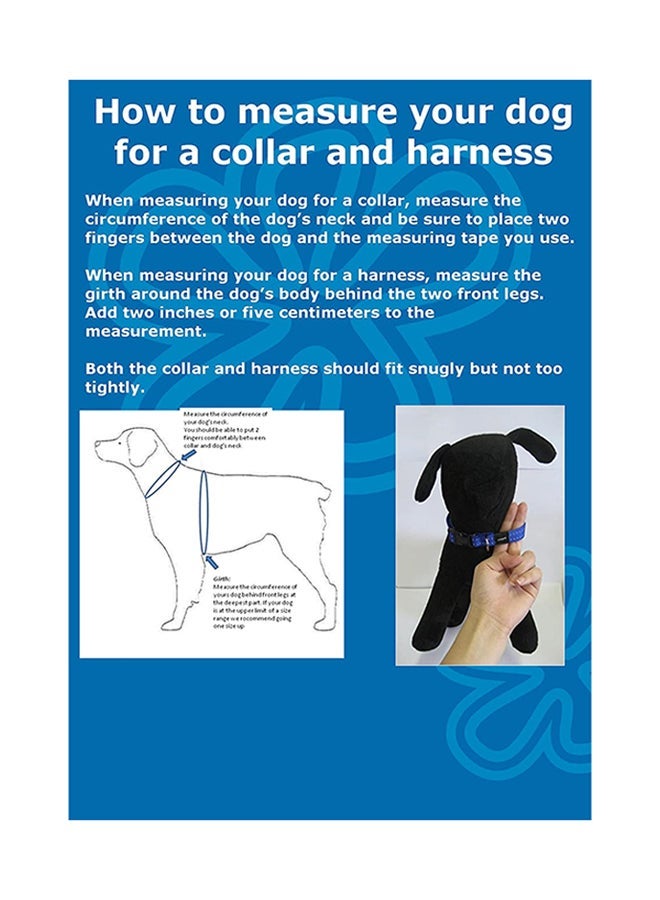 إسكدنيا Pet Bone Collar Brown - Image 4