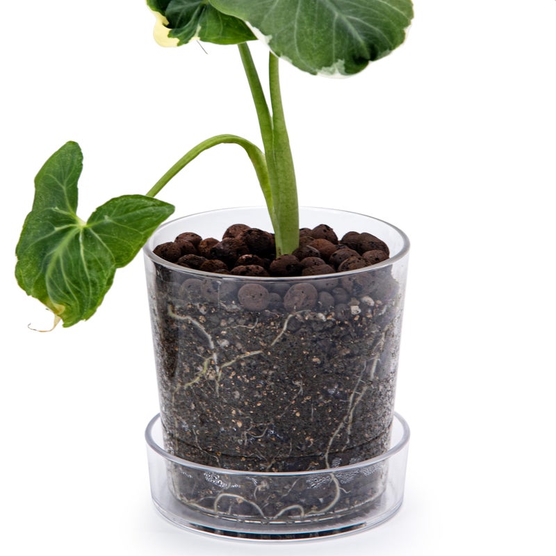Phoenix Vine 4.5 Inch Clear Acrylic Planter Pot with Tray, Orchid Pot with Drainage Holes, Deep Saucer for Bottom Watering, Transparent Containers for Indoor Plants, Herbs, Set of 1, 91-A-E-1 - Image 1