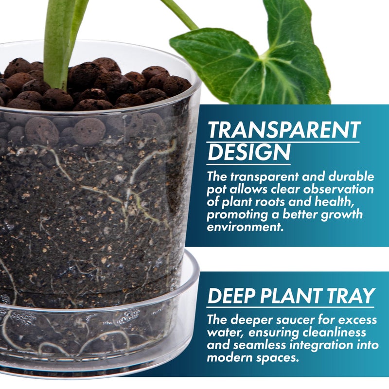 Phoenix Vine 4.5 Inch Clear Acrylic Planter Pot with Tray, Orchid Pot with Drainage Holes, Deep Saucer for Bottom Watering, Transparent Containers for Indoor Plants, Herbs, Set of 1, 91-A-E-1 - Image 4