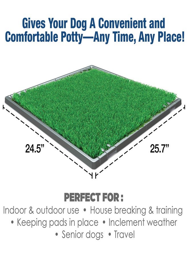 Four Paws Wee-Wee Premium Grass Patch Pet Potty - Image 5