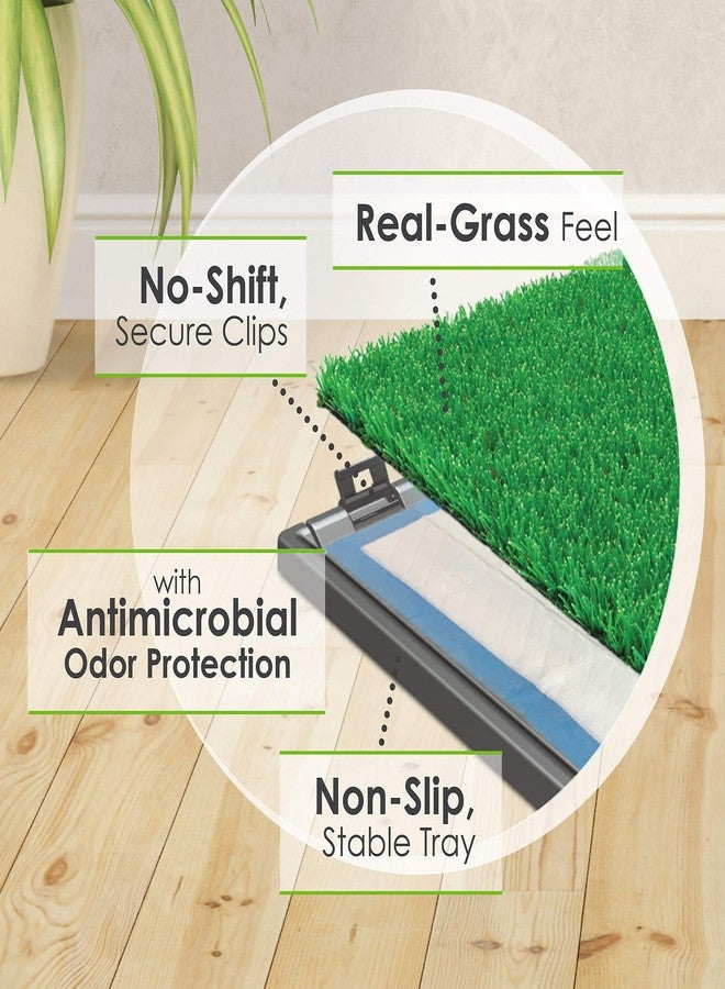 Four Paws Wee-Wee Premium Grass Patch Pet Potty - Image 3