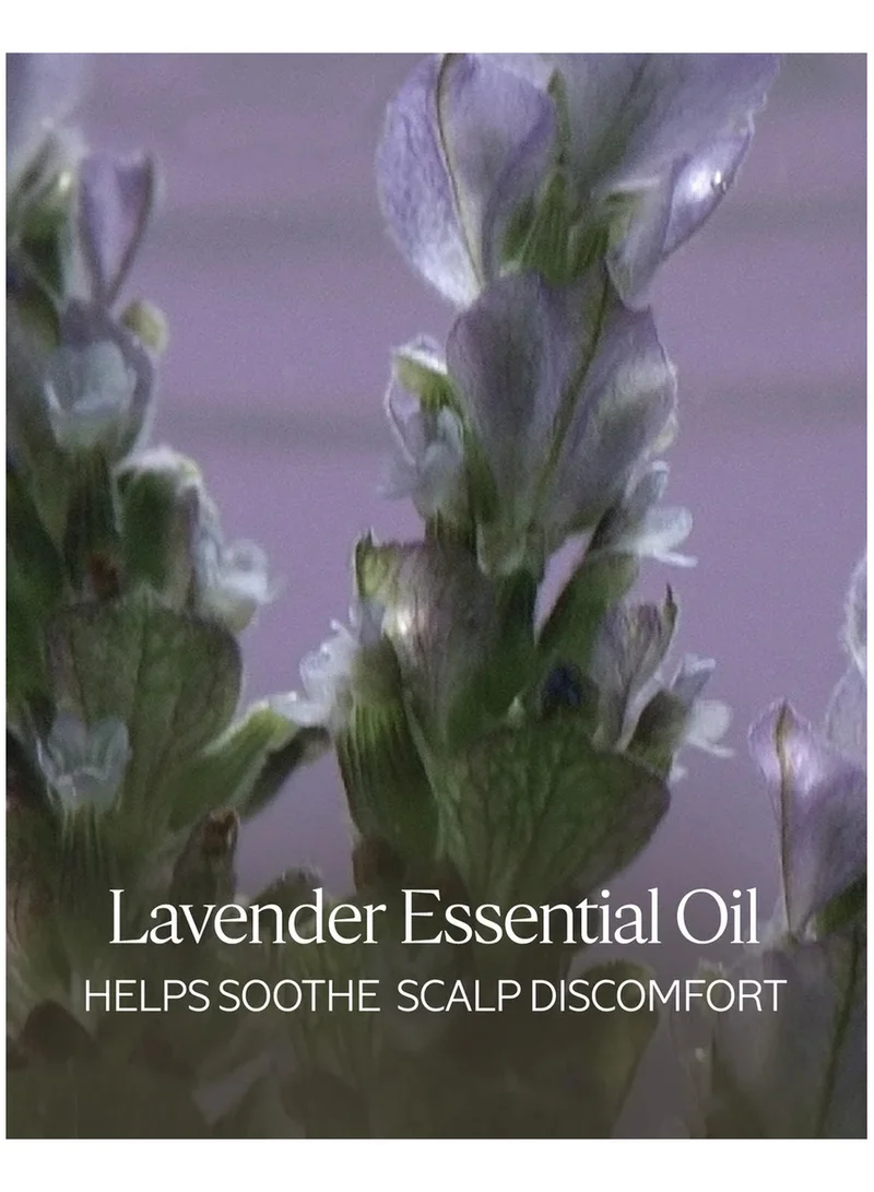 L'occitane Gentle & Balance Conditioner