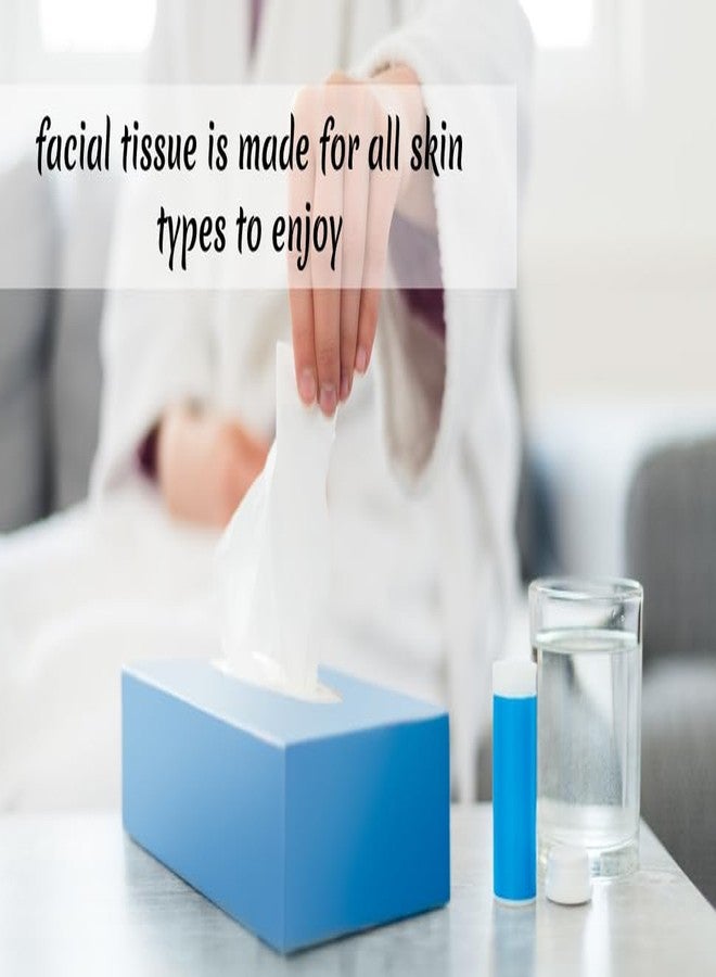 نايس تاتش علبة مناديل وجه نايس تاتش لإعادة التعبئة | علبة سيارة لإعادة التعبئة | طبقتان | 1000 منديل | عبوة من 10 × 100 منديل | مناسبة لجميع أنواع البشرة | ناعمة وعالية الامتصاص - Image 2