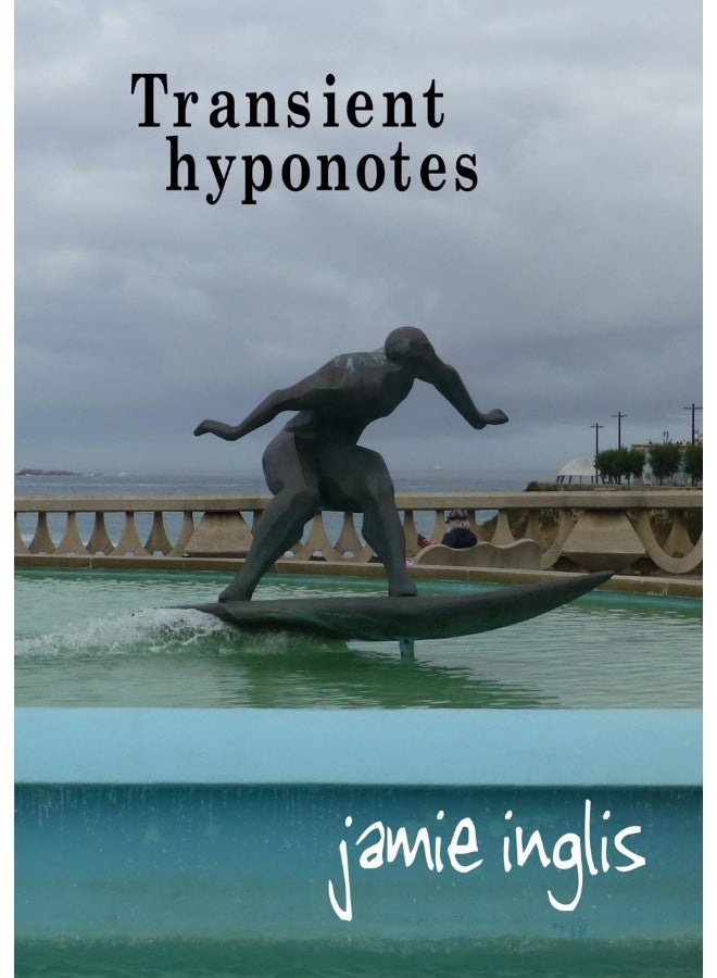 Transient hyponotes - Image 1