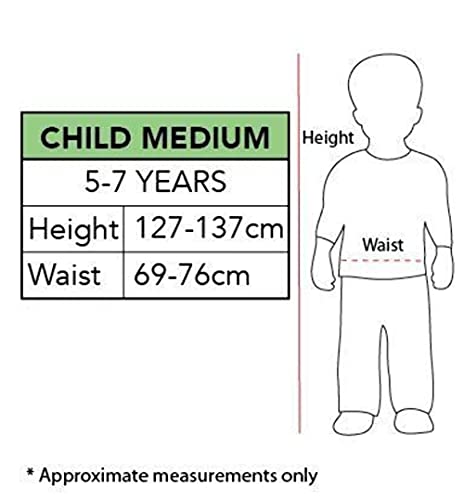 Rubies Sonic The Hedgehog Costume Dress for Kids Girls Small - Image 5