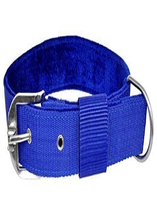 Pups&Pets طوق كلاب أزرق قابل للتعديل من النايلون من Pups&Pets، مقاس كبير جدًا (أزرق)، 1.25 بوصة - مناسب للكلاب من السلالات الكبيرة - Image 1